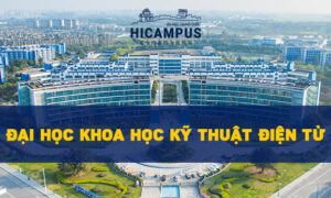 Đại học Khoa học kỹ thuật Điện tử