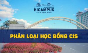 Các loại học bổng CIS