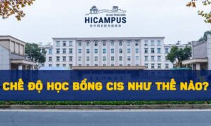 Chế độ học bổng CIS