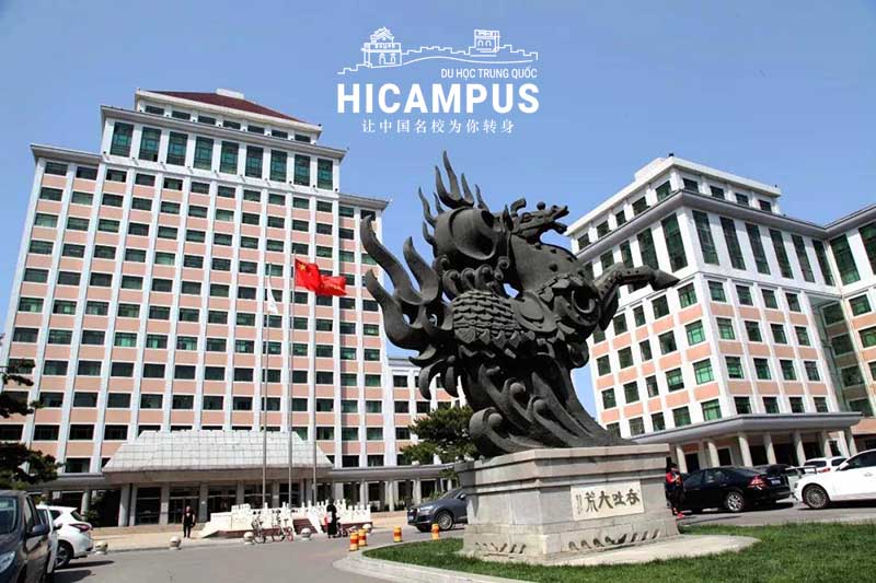 Học bổng CIS loại B