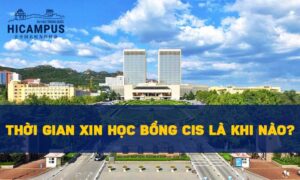 Thời gian apply học bổng CIS