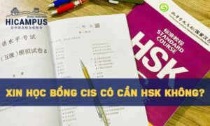 Xin học bổng CIS có cần HSK không? 