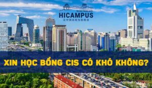 Xin học bổng CIS có khó không?