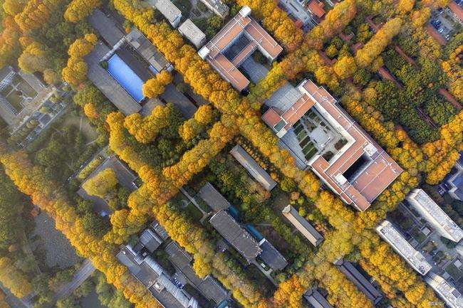 Khuôn viên được bao phủ bởi những hàng cây xanh của trường khoa học kĩ thuật Hoa Trung